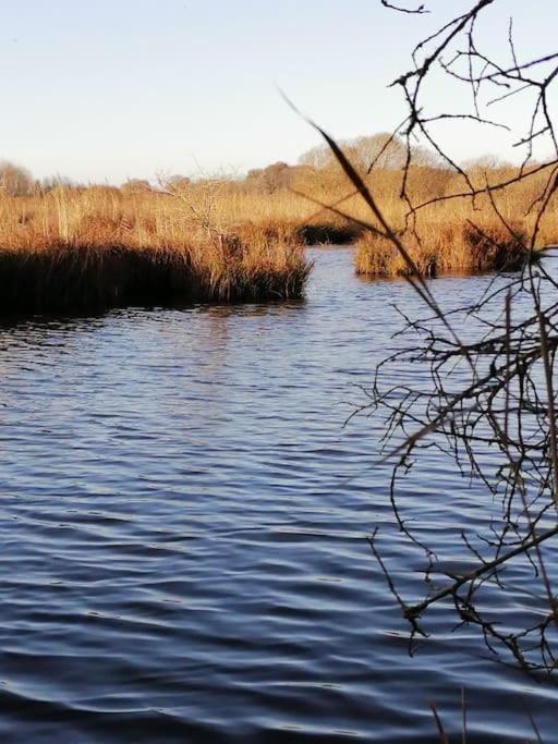 Gite A Saint Andre Des Eaux Exterior photo